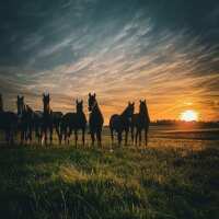 Lesen LED Bilder Bewertungen